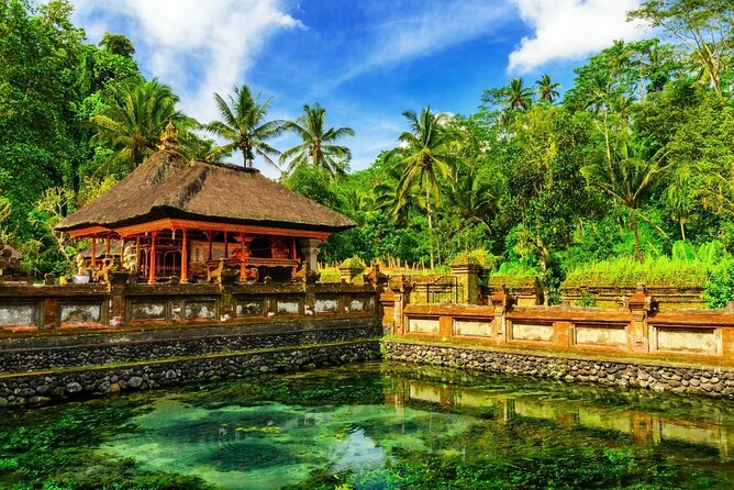 1-Day Ubud Tours All-Inclusive - Ulu Petanu and Tegenungan Waterfalls: Wet Feet, Big Payoff