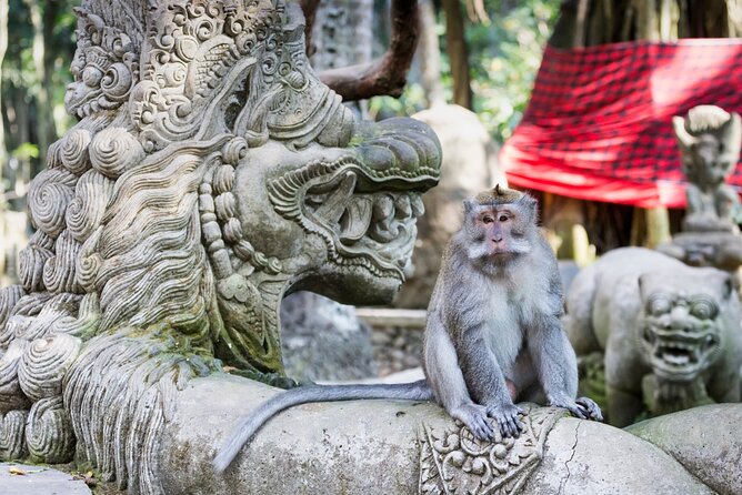 1-Day Ubud Tours All-Inclusive - Jungle Swing + Lunch With Rice Terrace Views: Fun Break, Not Just Food