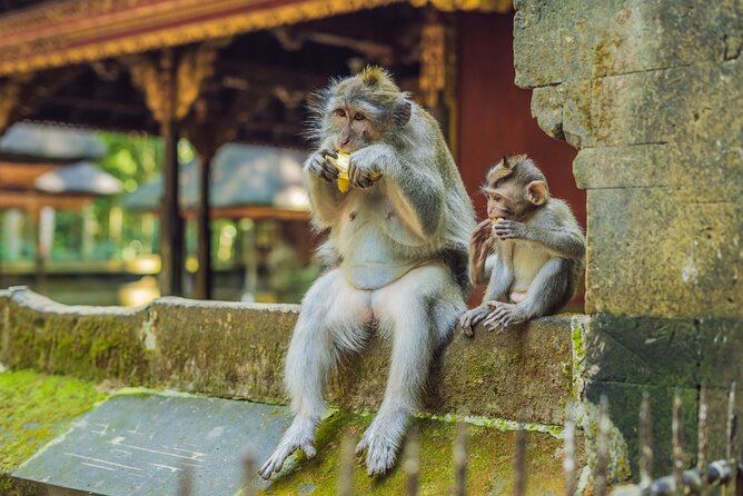 1-Day Ubud Tours All-Inclusive - Coffee Plantation Tasting: The Pleasant Ending You’ll Appreciate