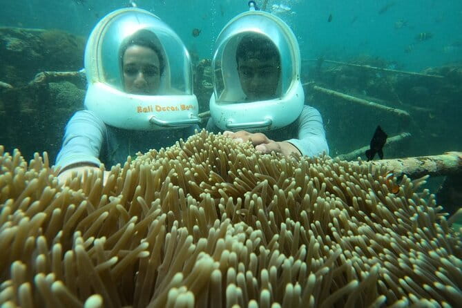 30 Minutes Ocean Walking in Nusa Dua, Bali - The Best Part People Emphasize: Guides and Driver Help