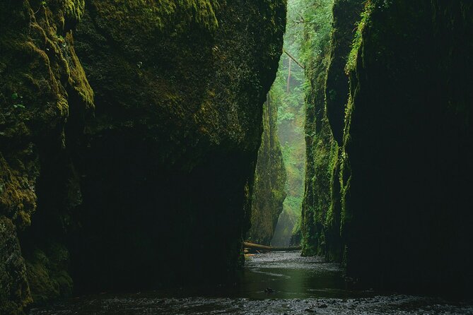 3Hrs Intermediate Canyoning in North Bali (Pickup, Lunch & GoPro) - Price and Value: What You’re Getting for $149
