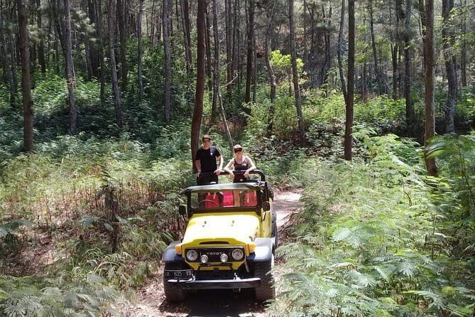 4WD Jeep Mount Batur Sunrise Experience By Bali Volcano Jeep - Pickup from Ubud and the Cold-Morning Reality Check