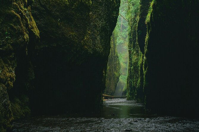 5Hrs Advanced Canyoning (50m) 12 Rappels (Pickup, Lunch & GoPro) - Best Fit for This Advanced Tour: Who Will Have the Most Fun
