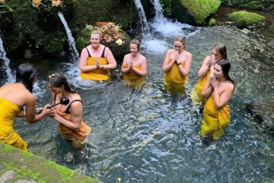A Day Retreat In Ubud - Early pickup, a calm pace, and why 8 travelers matters