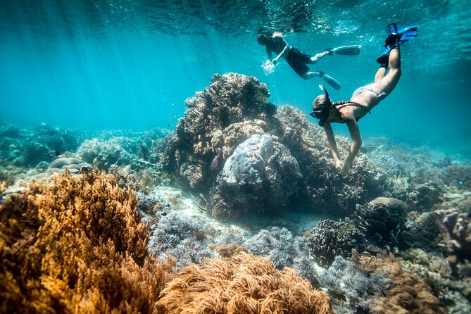 All Inclusive Bali Blue Lagoon and Tanjung Jepun Snorkeling - From Ubud Pickup to Padang Bai: How the Day Actually Works
