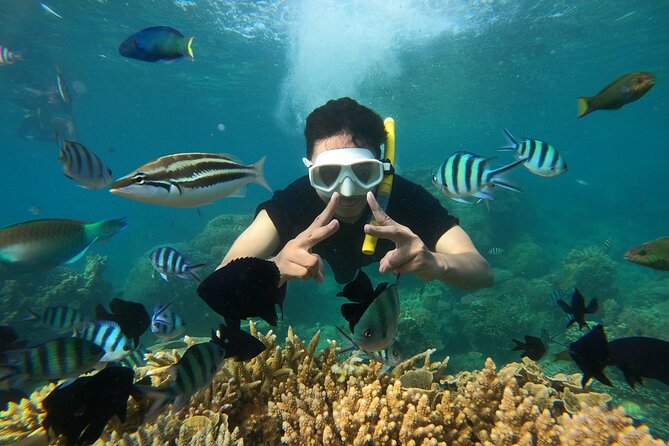 All Inclusive Bali Blue Lagoon and Tanjung Jepun Snorkeling - Snorkel Gear and Support: Comfort Tips That Make a Difference