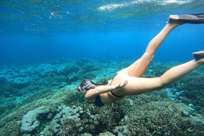 All Inclusive Bali Blue Lagoon and Tanjung Jepun Snorkeling - Who Should Book This Snorkeling Day Trip?