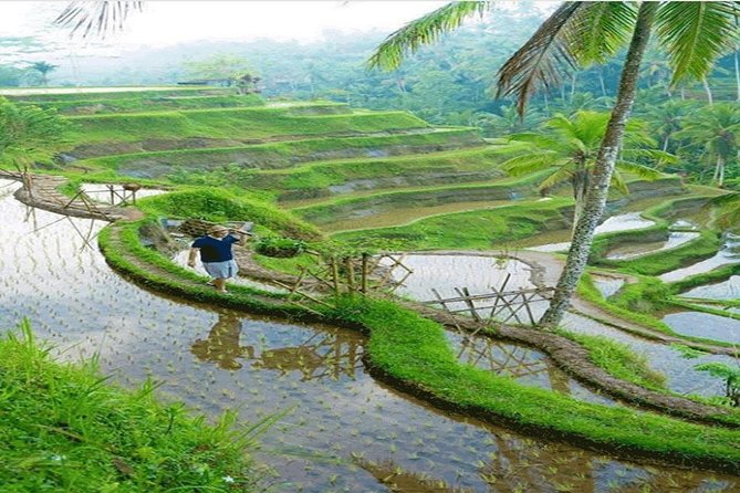 ALL INCLUSIVE - Bali Gate Of Heaven Tour - Lunch Timing and Staying Comfortable Without an Included Meal