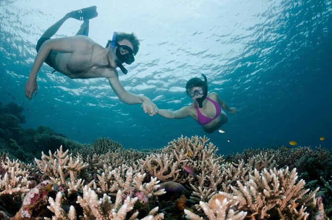All Inclusive Bali Scuba Diving at Tulamben with Lunch -Transport - Key things to know before you go