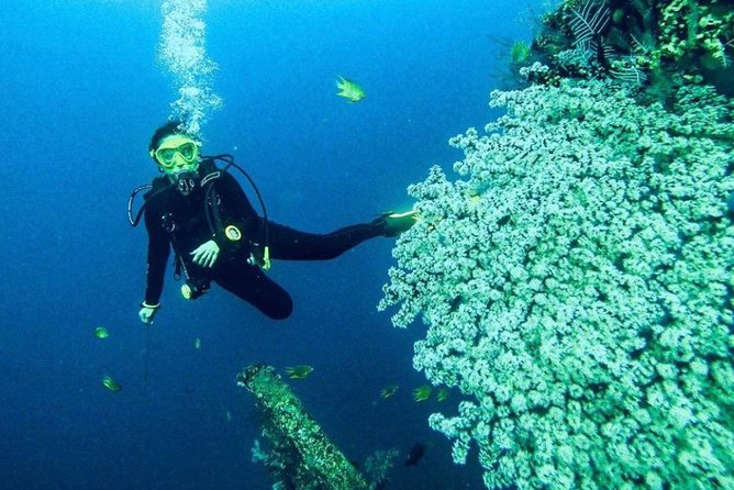 All Inclusive Bali Scuba Diving at Tulamben with Lunch -Transport - Gear, Insurance, and What Your $150 Gets You (and Why It’s Not Just a Coupon)