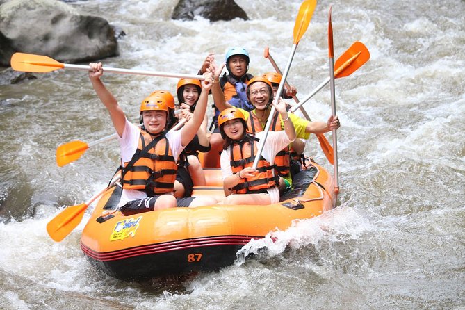 All Inclusive - Toekad Ubud Ayung River Rafting - Price and value: why $29 can work (if you want this kind of day)