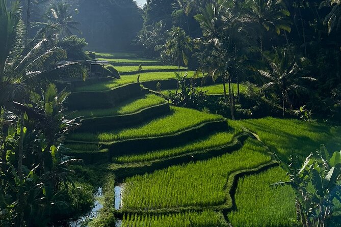 All Inclusive Ubud Tour - Tirta Empul Temple: Sacred Spring Water and a Real Purification Ritual