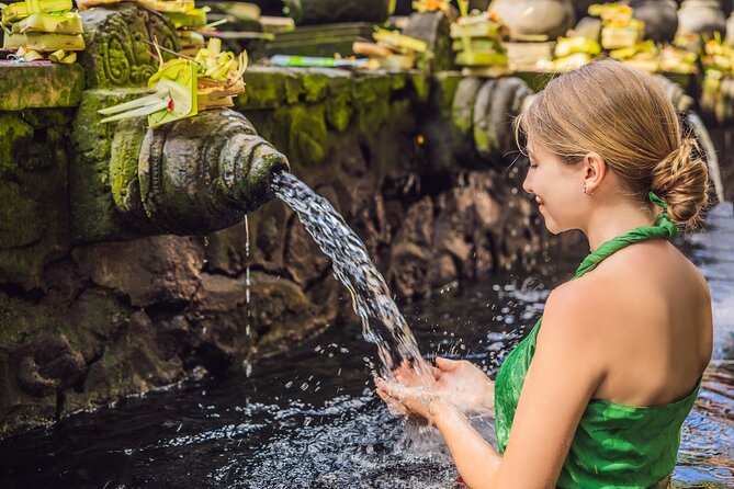 All-Inclusive Ubud's Wonder Day Tour - Key Highlights