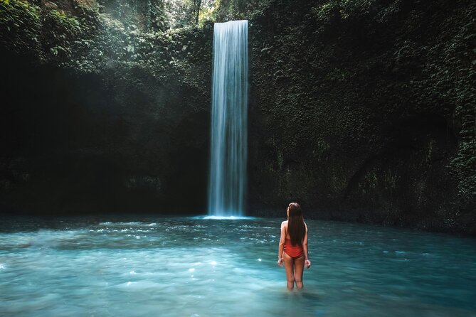 All-Inclusive Ubud's Wonder Day Tour - Tegallalang Rice Terraces and Optional Swing Views