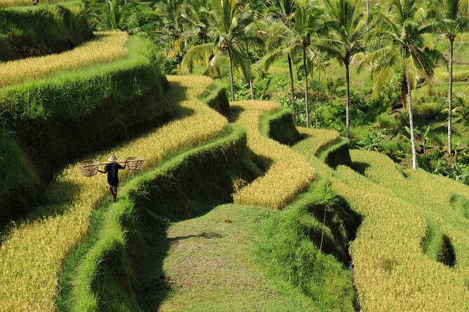 All-Inclusive Ubud's Wonder Day Tour - Tirta Empul Temple and the Purification Springs