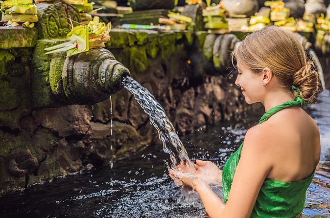 All-Inclusive Ubud's Wonder Day Tour - Price and Inclusions: Getting the Best Value for $29