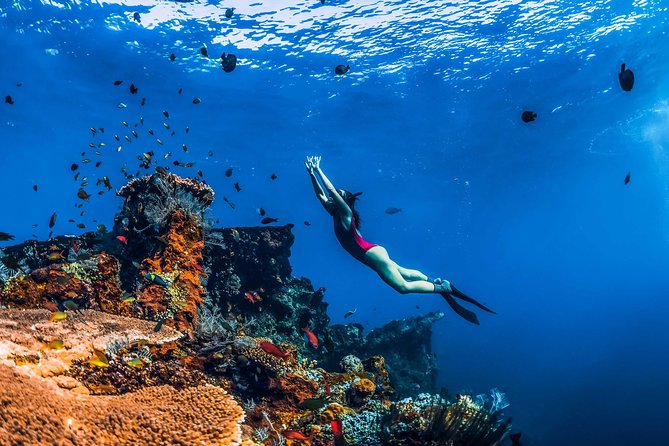 Amed Bali Snorkelling: Japanese Shipwreck & Vienna Beach Tour - Key highlights to know before you go