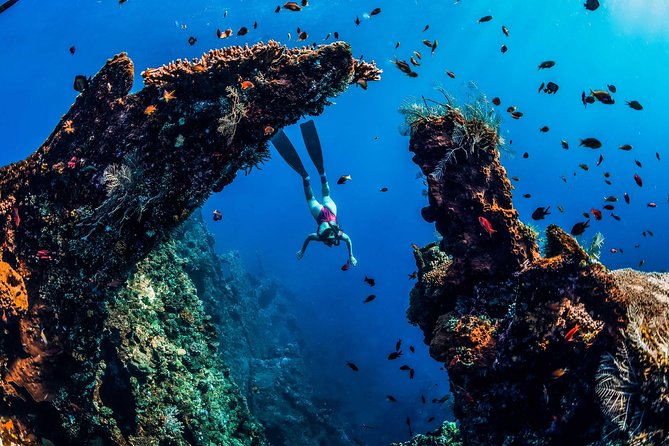 Amed Bali Snorkelling: Japanese Shipwreck & Vienna Beach Tour - Snorkeling conditions, skill level, and a real-world comfort check