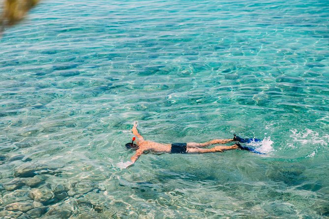 Amed Bali Snorkelling: Japanese Shipwreck & Vienna Beach Tour - Price and what $44 actually covers (and what it doesn’t)