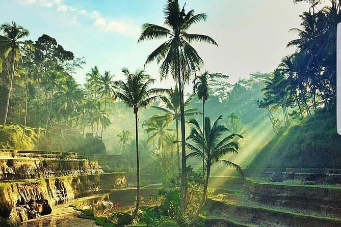 ATV Ride & Ubud Tour - ATV Ride & Ubud Tour: The value of one tight day