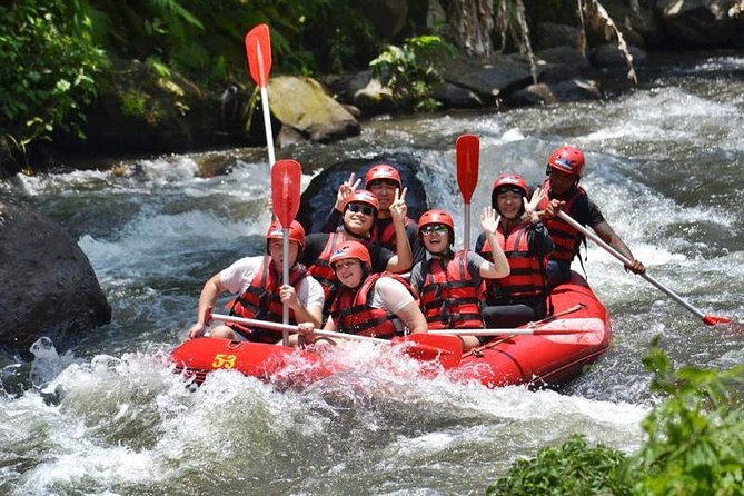 Ayung River Half-Day White Water Rafting Bali in Ubud - Key highlights you’ll care about