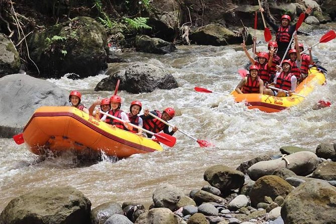 Ayung River Half-Day White Water Rafting Bali in Ubud - Finish point, shower, and buffet lunch: how the day gets comfortable again