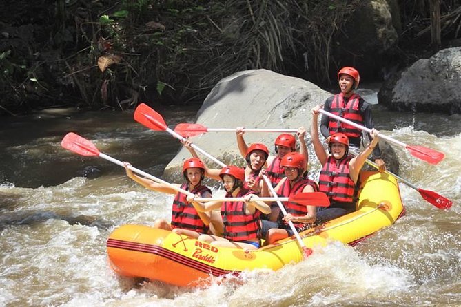 Ayung River Half-Day White Water Rafting Bali in Ubud - Getting back to Ubud by 13:30–14:00: plan a low-key afternoon