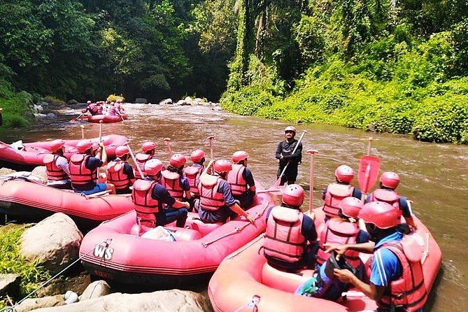 Ayung River Half-Day White Water Rafting Bali in Ubud - Who this rafting trip suits (and who might want a different plan)