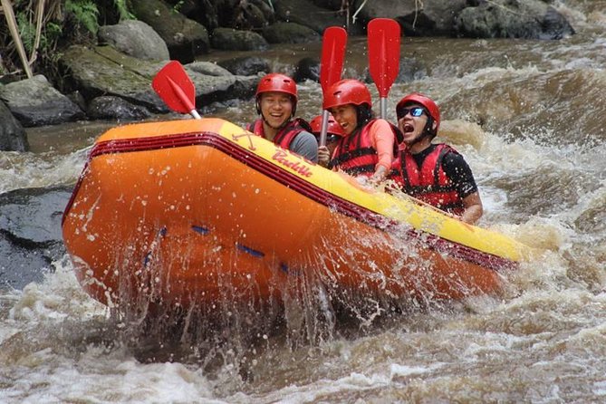 Ayung River Half-Day White Water Rafting Bali in Ubud - Pickup from Ubud: smooth rides, real names, and real timing