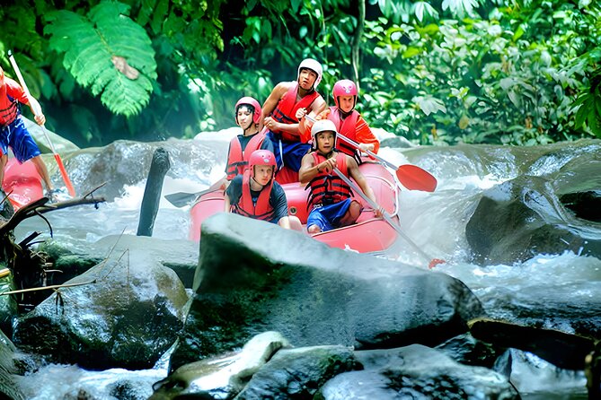 Ayung River Rafting - Ubud Best White Water Rafting - Key highlights worth knowing