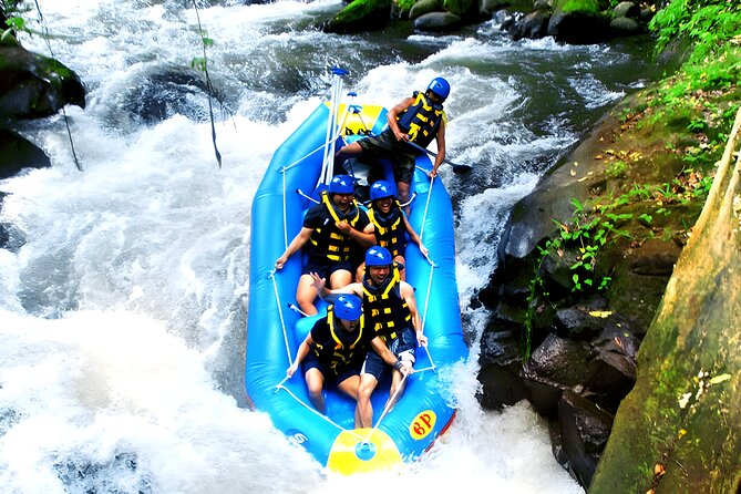 Ayung River Rafting - Ubud Best White Water Rafting - Scenery and wildlife on the Ayung River during the dry season