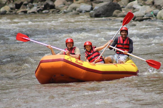 Ayung River - White Water Rafting Bali - Small-Group Format and Guides: Safety Without Killing the Vibe