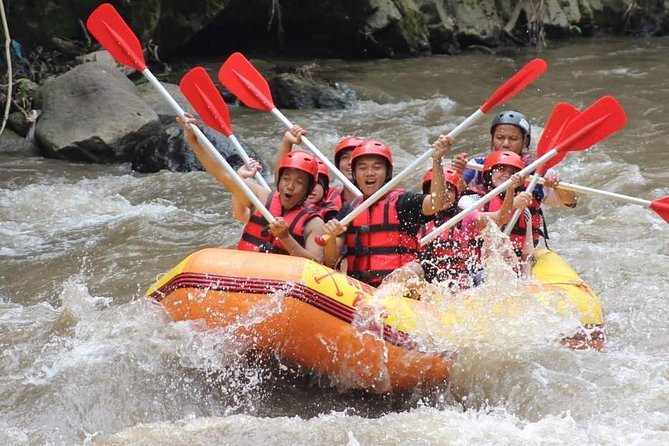 Ayung River - White Water Rafting Bali - Two Hours on the Ayung: Rapids, Waterfalls, and Ramayana Cliffs