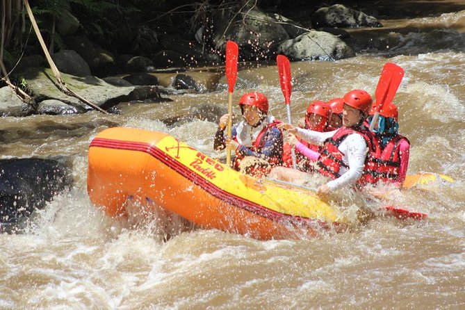 Ayung River - White Water Rafting Bali - Morning vs Afternoon Tours: Choosing Your Best Energy Window