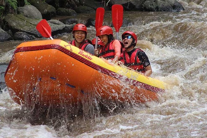 Ayung River - White Water Rafting Bali - Pickup, Transfers, and Getting to the River Efficiently