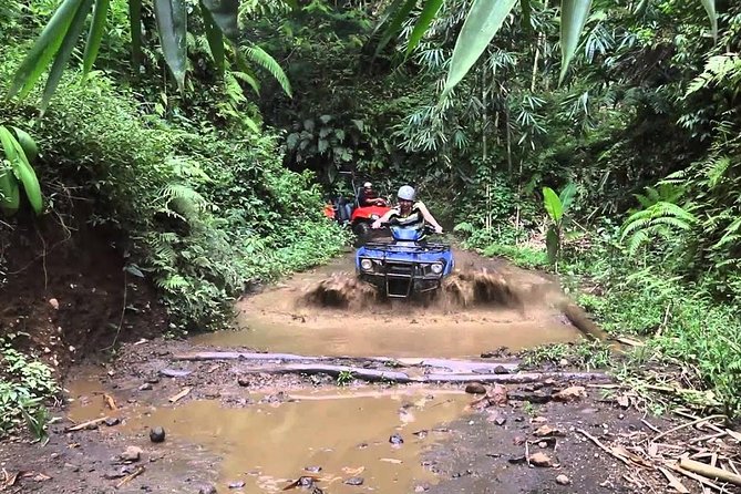Balaji Adventure Bali Quad Bike - Single Bike 250cc - Getting to Balaji Adventure Bali and what your morning-to-afternoon setup feels like