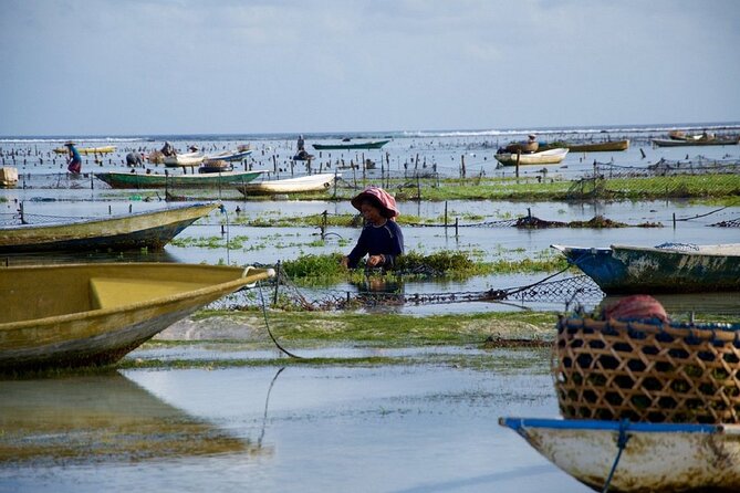 Bali 2 Days and 1 Nights of Nusa Penida and Lembongan Tour - Who this tour fits best (and who might want a different plan)