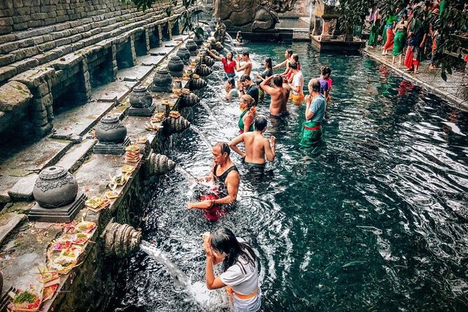 Bali 2 Days Package Nusa Penida and Ubud Tour with All Inclusive - Day 1 in Ubud: waterfall, rice terraces, holy springs, and monkeys