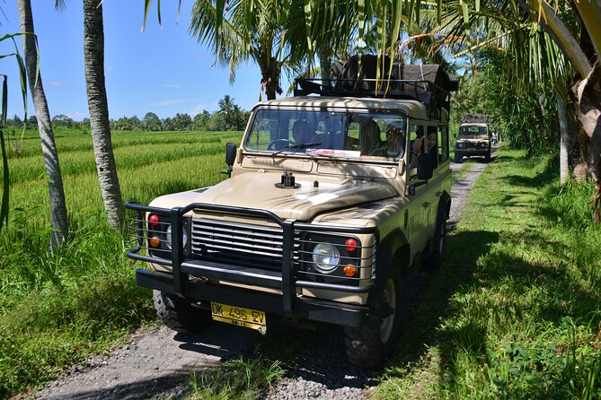 Bali 4WD Adventure WakaLand UNESCO Jatiluwih Trip in Bali Outback - Jatiluwih: UNESCO rice terraces that make sense in person