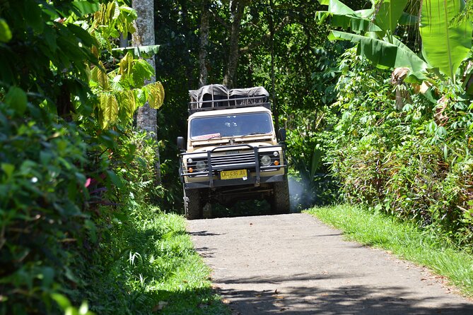 Bali 4WD Adventure WakaLand UNESCO Jatiluwih Trip in Bali Outback - Hot mineral baths: the steam-based finish