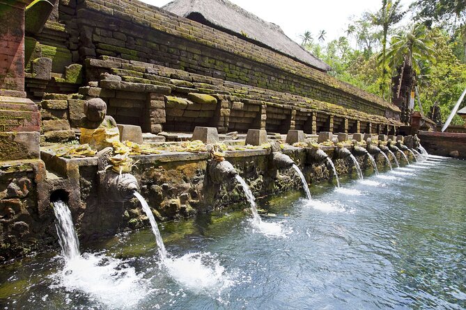 Bali All-Inclusive: Ubud Tour with Entrance Ticket and Lunch Included - Lunch at Tegalalang: Balinese meal with a green view