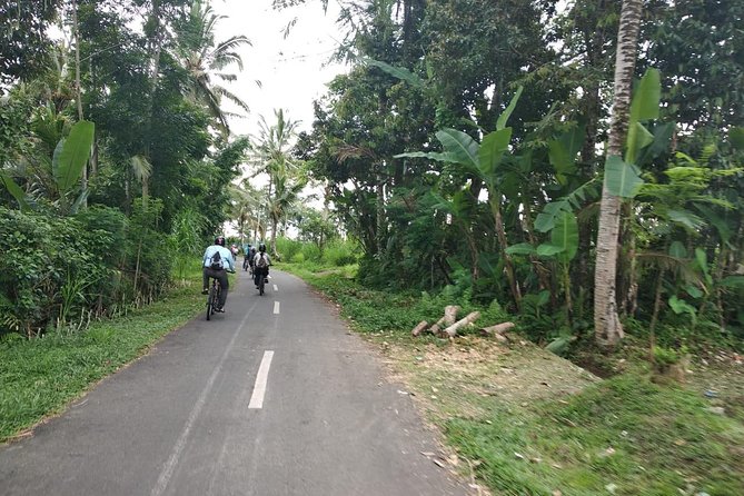 Bali Amazing Cycling Tour - Why a Kintamani-to-Ubud Downhill Ride Makes Sense