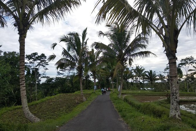 Bali Amazing Cycling Tour - The Ubud Morning Pickup: Timing and What You Should Bring