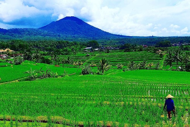 Bali Ancient Temples Tour - Price and logistics: what $59 really buys you