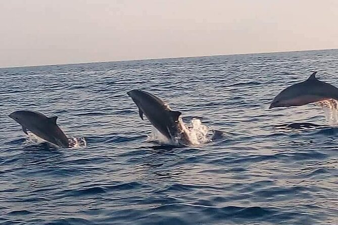 Bali and Lovina with Sunrise Dolphin Tour and Snorkeling - Lovina Morning Pickup and the Jukung Boat Start