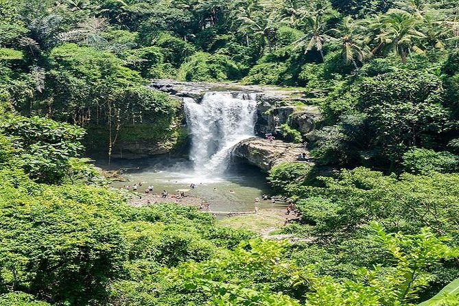 Bali Art Shopping and Culture Tour - Start Time at 9:00 AM: How the 5 to 6 Hours Usually Works