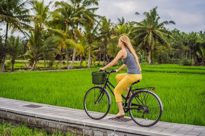 Bali ATV Bike Cave and waterfall with hotel Pick Up And Lunch - Who Should Book This ATV Cave and Waterfall Tour