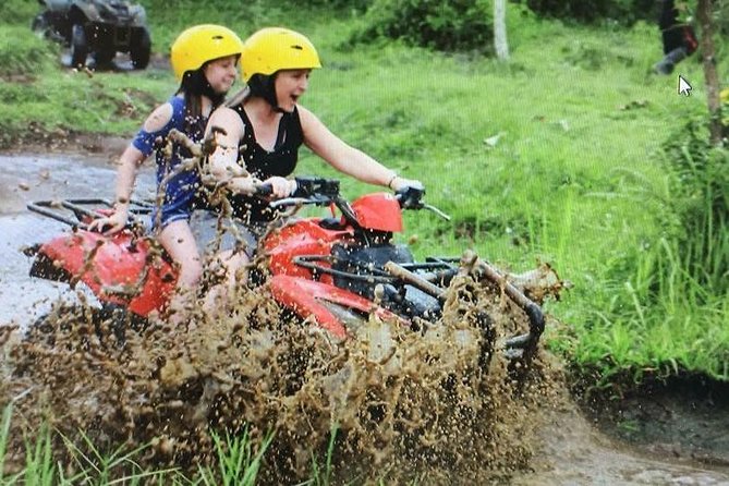 Bali ATV Combined with Mumbul Lake And Sangeh Monkey Forest - Sangeh Monkey Forest: Wildlife Up Close Without Feeling Too Intense