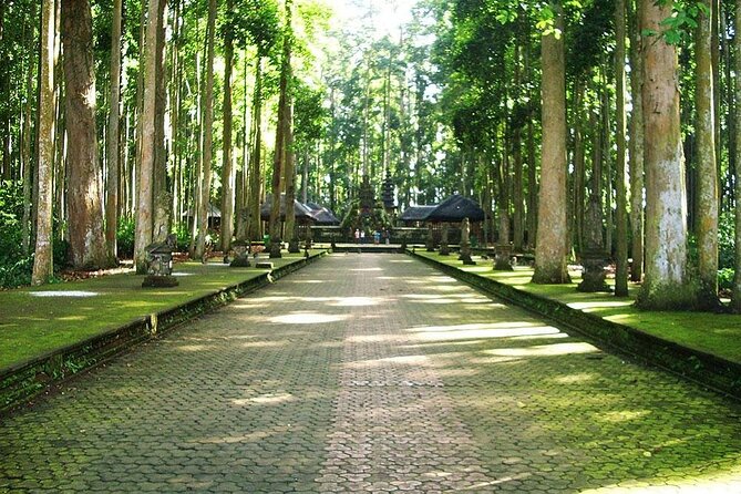 Bali ATV Combined with Mumbul Lake And Sangeh Monkey Forest - Pickup, Duration, and What Your Day Will Actually Feel Like