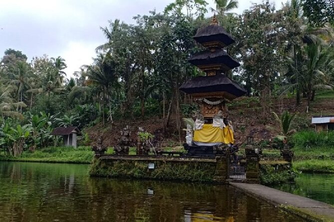 Bali ATV Combined with Mumbul Lake And Sangeh Monkey Forest - Price and Value: When $53 Makes Sense (and When It Might Not)